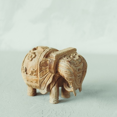 Elephant Primitive