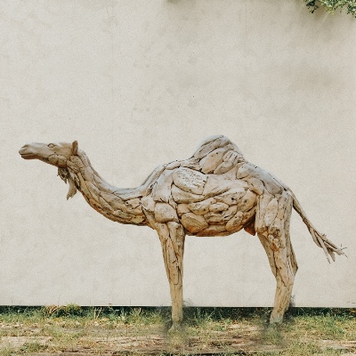 Camel